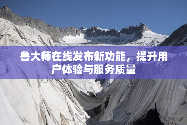 鲁大师在线发布新功能，提升用户体验与服务质量
