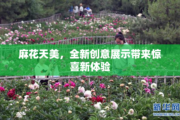 麻花天美，全新创意展示带来惊喜新体验