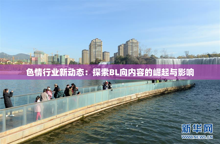 色情行业新动态：探索BL向内容的崛起与影响