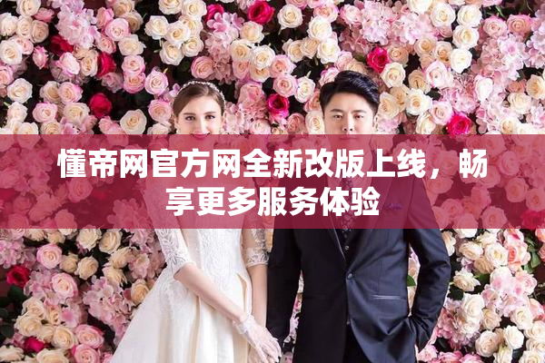 懂帝网官方网全新改版上线，畅享更多服务体验