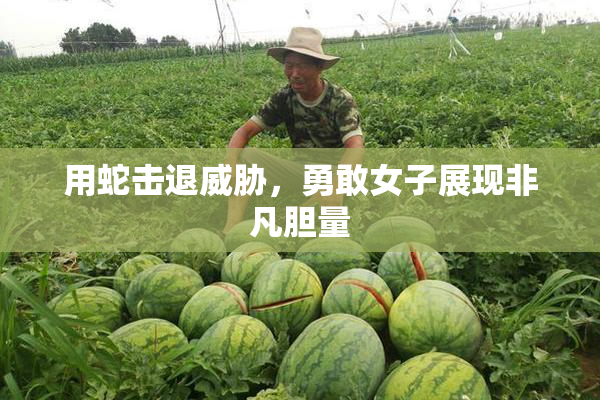 用蛇击退威胁，勇敢女子展现非凡胆量