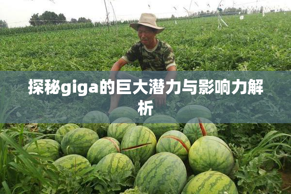 探秘giga的巨大潜力与影响力解析
