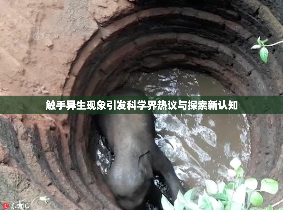 触手异生现象引发科学界热议与探索新认知