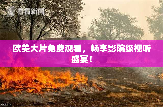 欧美大片免费观看，畅享影院级视听盛宴！
