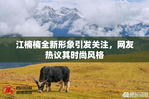 江楠楠全新形象引发关注，网友热议其时尚风格