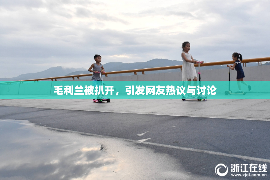 毛利兰被扒开，引发网友热议与讨论