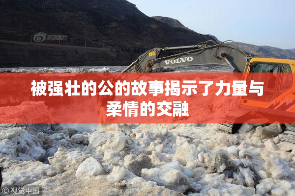 被强壮的公的故事揭示了力量与柔情的交融