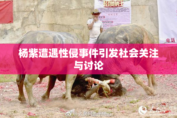 杨紫遭遇性侵事件引发社会关注与讨论