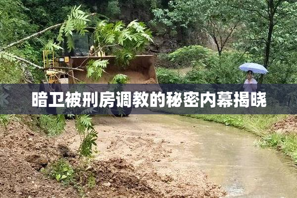 暗卫被刑房调教的秘密内幕揭晓