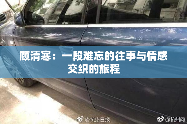 顾清寒：一段难忘的往事与情感交织的旅程