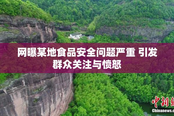 网曝某地食品安全问题严重 引发群众关注与愤怒
