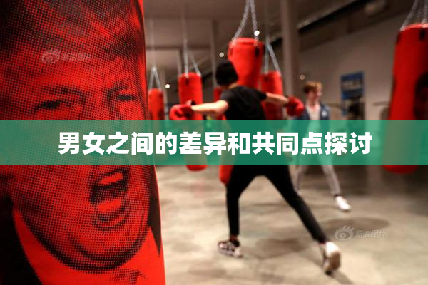 男女之间的差异和共同点探讨