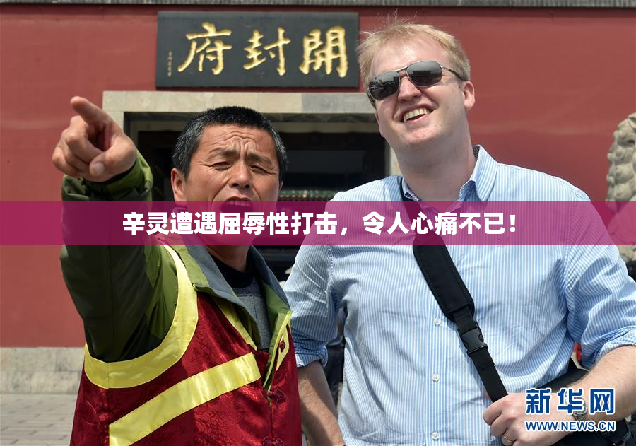 辛灵遭遇屈辱性打击，令人心痛不已！