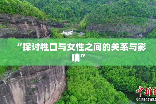 “探讨牲口与女性之间的关系与影响”