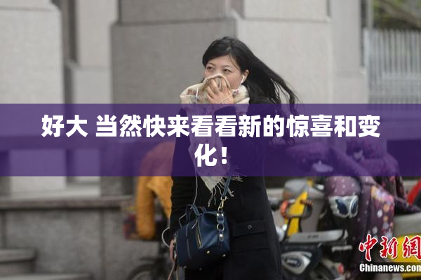 好大 当然快来看看新的惊喜和变化！