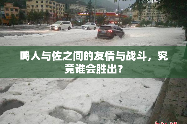 鸣人与佐之间的友情与战斗，究竟谁会胜出？