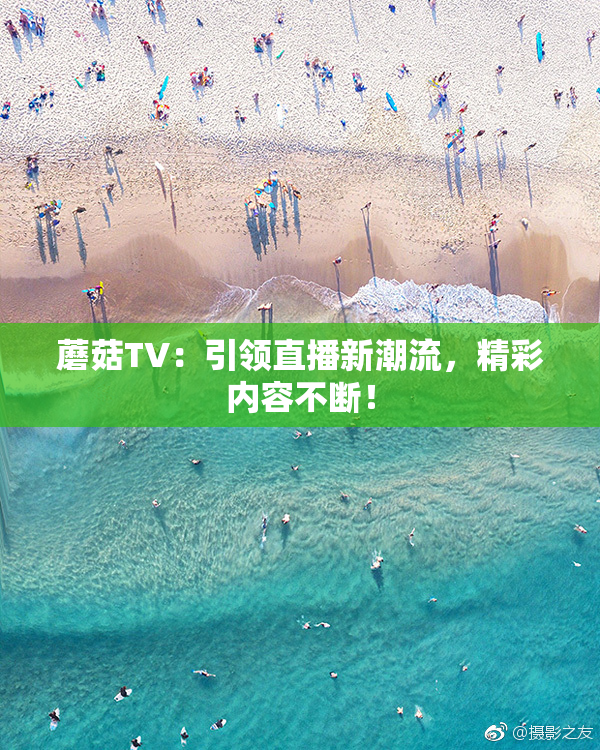 蘑菇TV：引领直播新潮流，精彩内容不断！