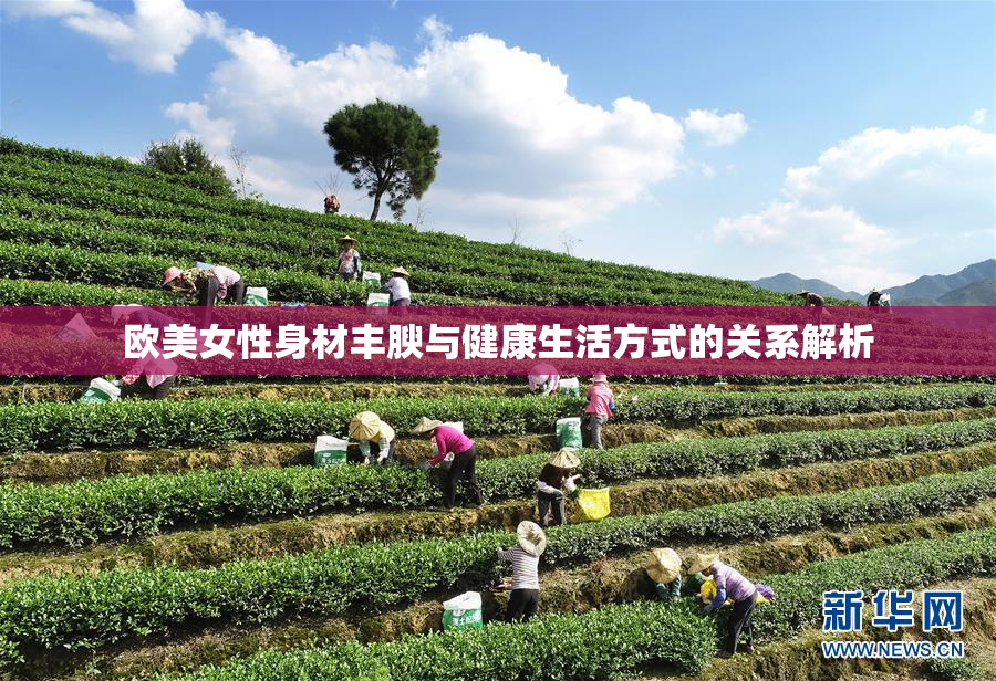 欧美女性身材丰腴与健康生活方式的关系解析