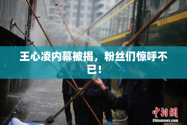 王心凌内幕被揭，粉丝们惊呼不已！