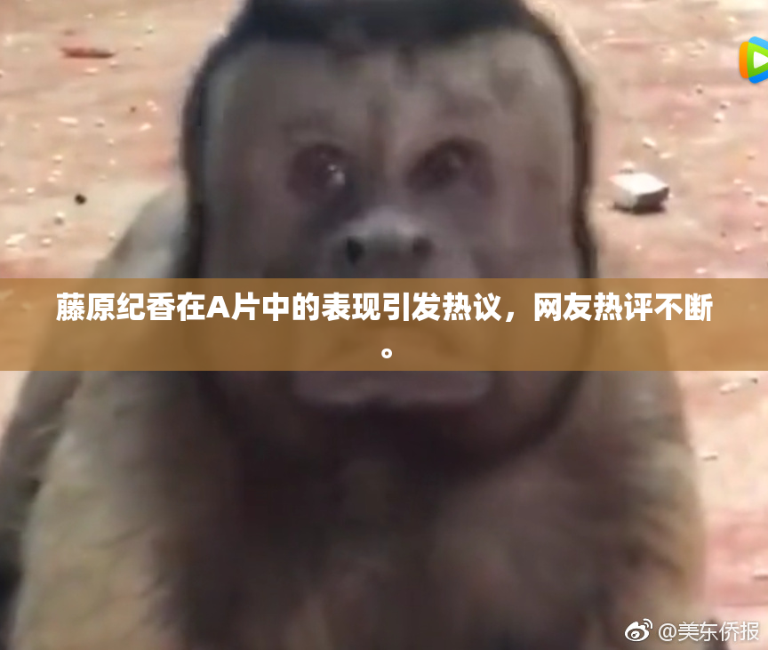 藤原纪香在A片中的表现引发热议，网友热评不断。