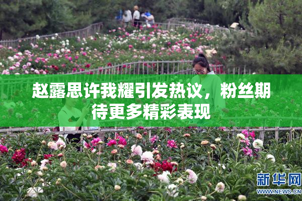 赵露思许我耀引发热议，粉丝期待更多精彩表现