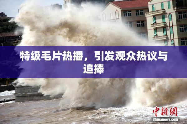 特级毛片热播，引发观众热议与追捧