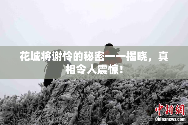 花城将谢怜的秘密一一揭晓，真相令人震惊！