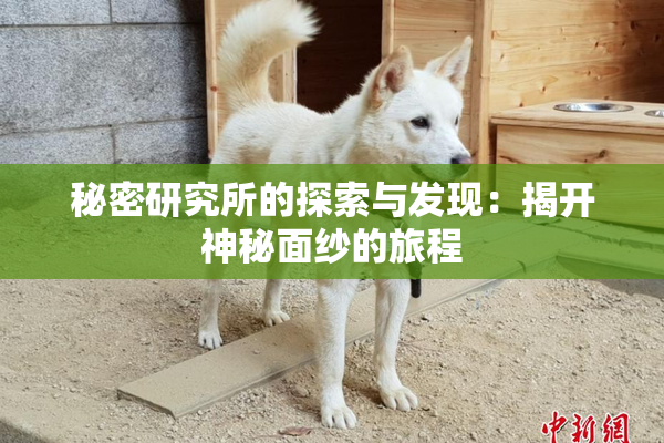 秘密研究所的探索与发现：揭开神秘面纱的旅程