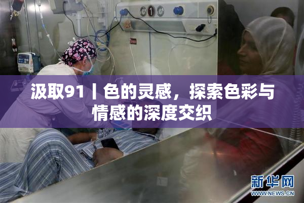 汲取91丨色的灵感，探索色彩与情感的深度交织