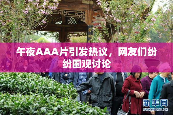 午夜AAA片引发热议，网友们纷纷围观讨论