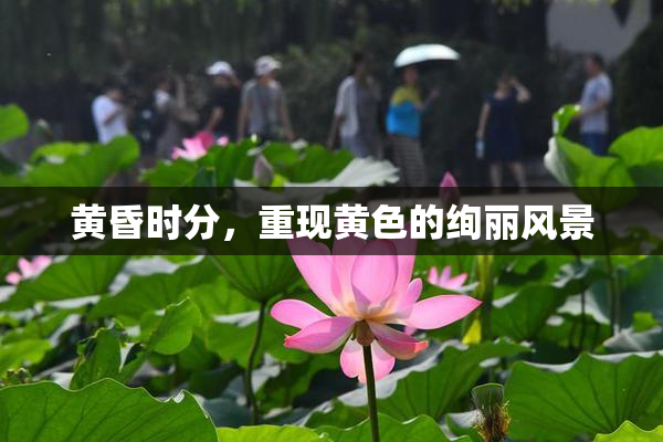 黄昏时分，重现黄色的绚丽风景