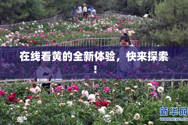在线看黄的全新体验，快来探索！