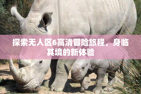 探索无人区6高清冒险旅程，身临其境的新体验