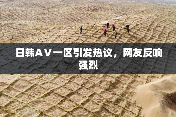 日韩AⅤ一区引发热议，网友反响强烈
