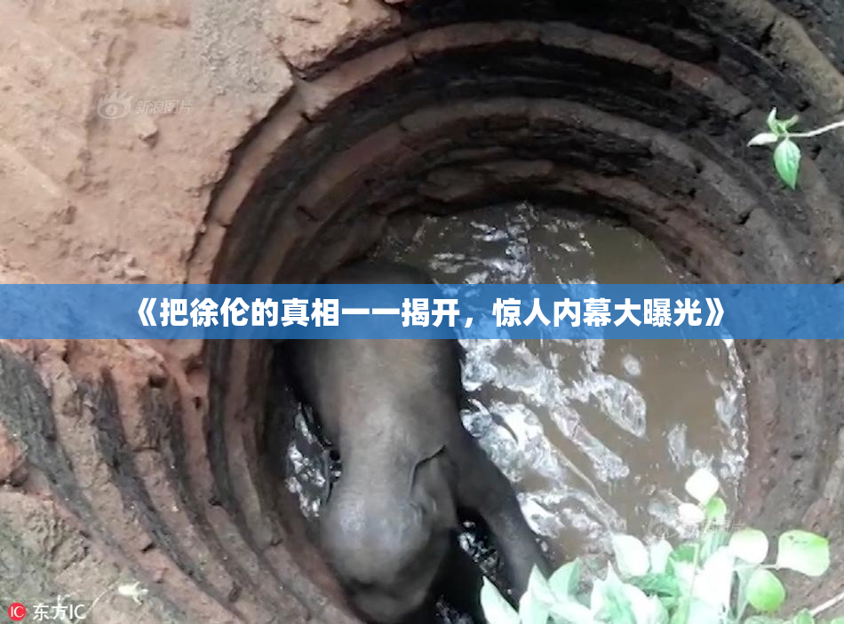《把徐伦的真相一一揭开，惊人内幕大曝光》