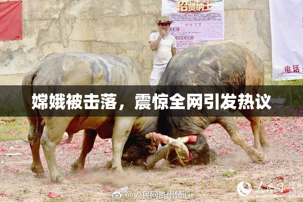 嫦娥被击落，震惊全网引发热议