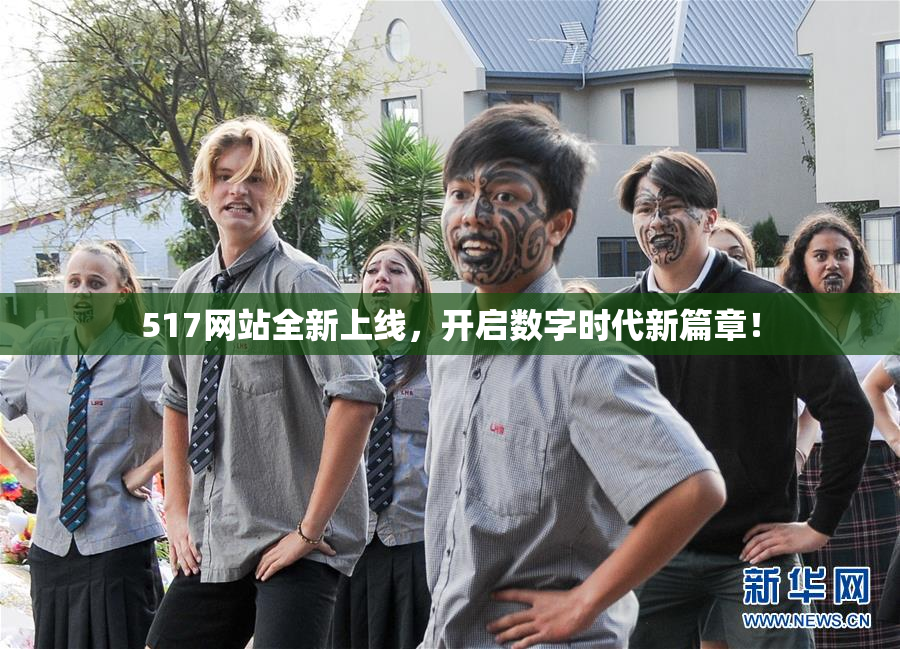 517网站全新上线，开启数字时代新篇章！
