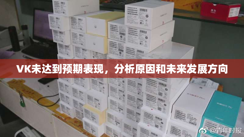 VK未达到预期表现，分析原因和未来发展方向