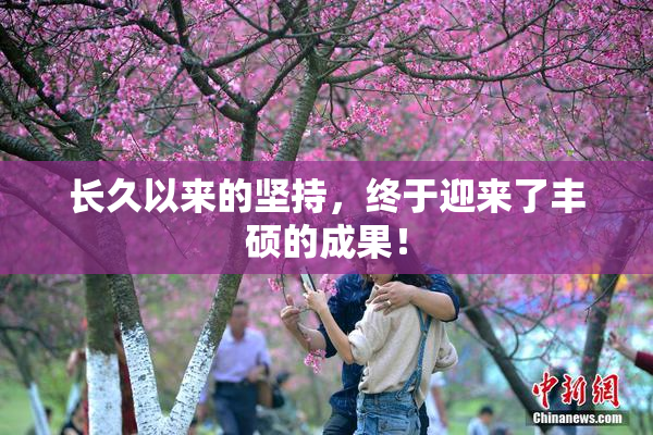 长久以来的坚持，终于迎来了丰硕的成果！