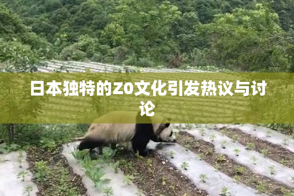 日本独特的Z0文化引发热议与讨论
