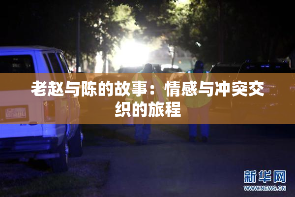 老赵与陈的故事：情感与冲突交织的旅程