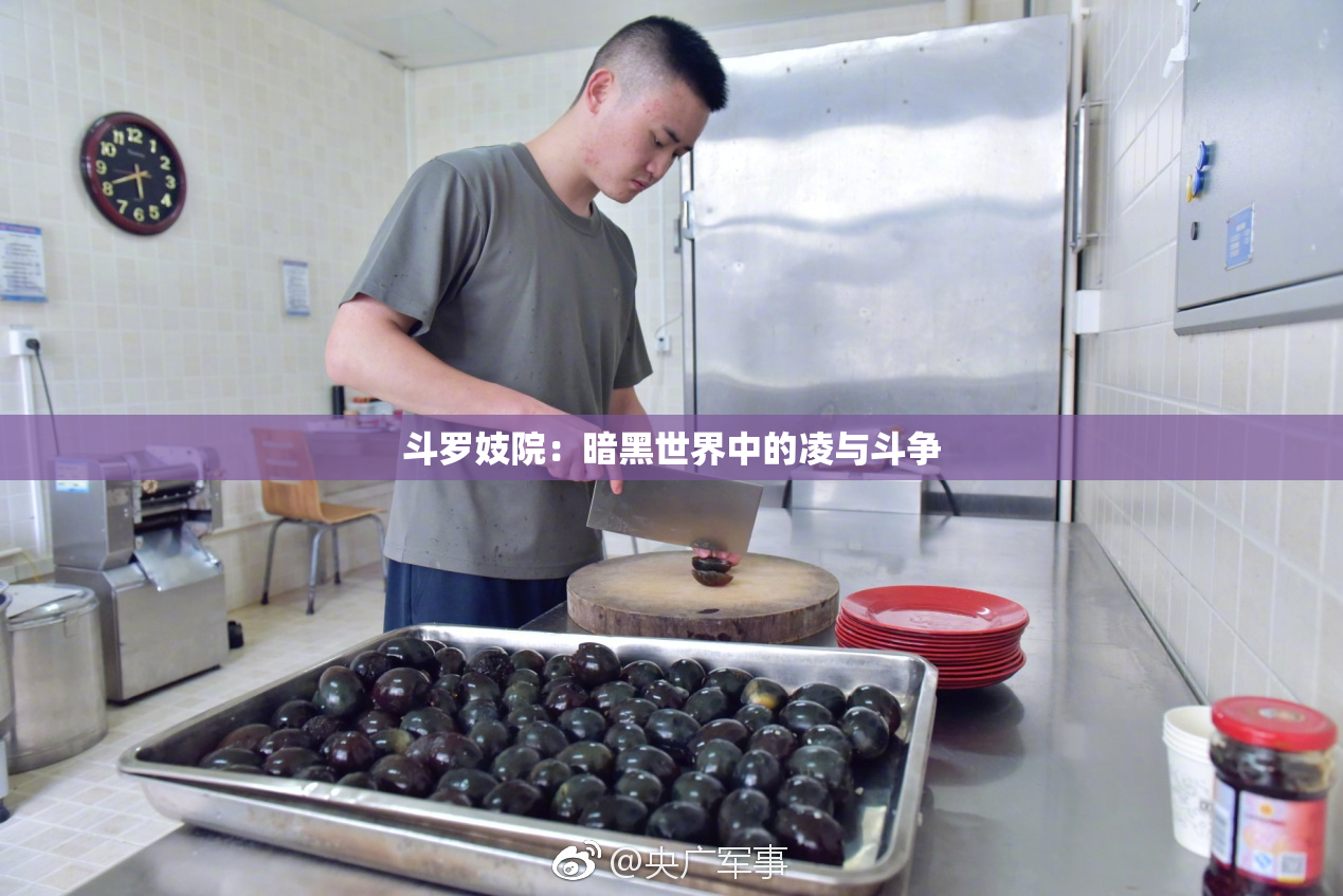 斗罗妓院：暗黑世界中的凌与斗争