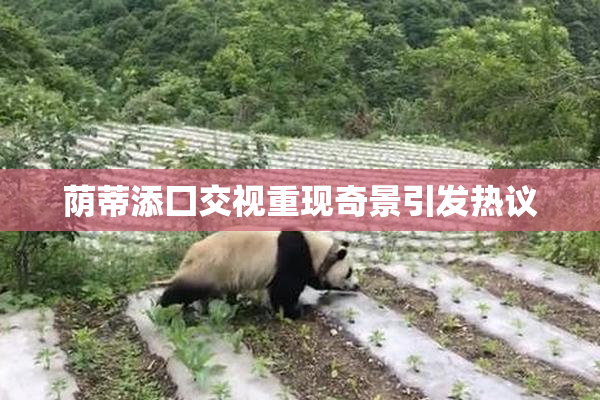 荫蒂添囗交视重现奇景引发热议