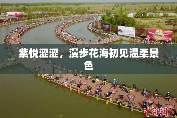 紫悦涩涩，漫步花海初见温柔景色