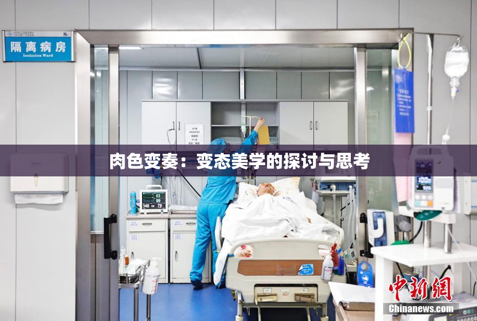 肉色变奏：变态美学的探讨与思考