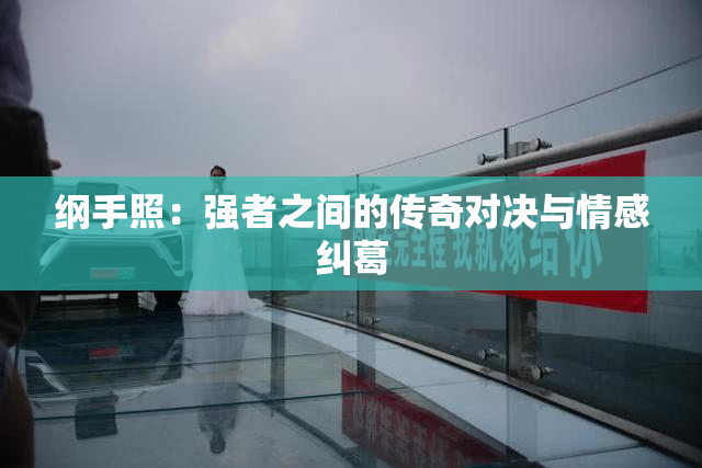 纲手照：强者之间的传奇对决与情感纠葛