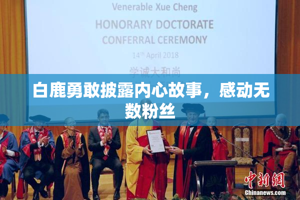 白鹿勇敢披露内心故事，感动无数粉丝