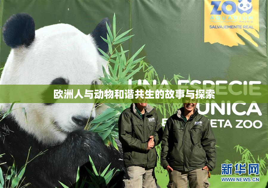 欧洲人与动物和谐共生的故事与探索