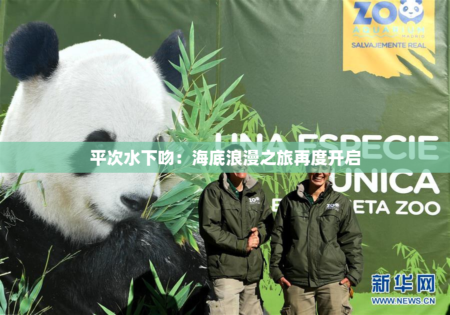 平次水下吻：海底浪漫之旅再度开启