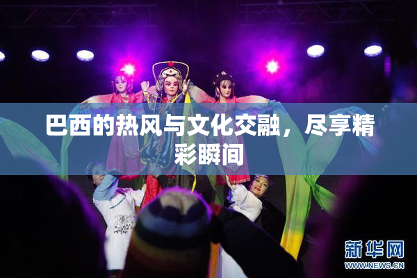 巴西的热风与文化交融，尽享精彩瞬间